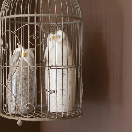 酒店 阿尔卑斯酒店 2*