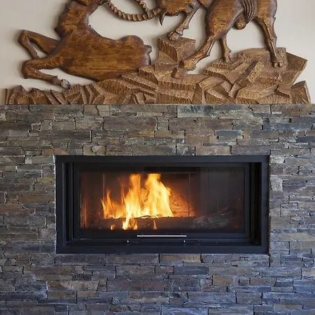 阿尔卑斯酒店 2*