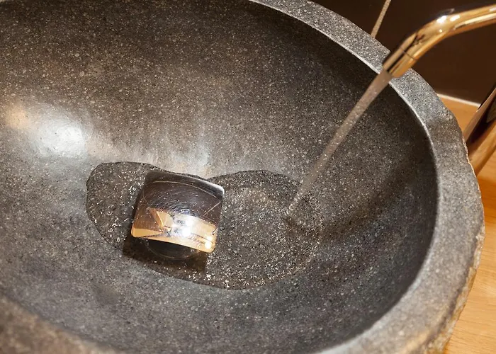 阿尔卑斯酒店 2*